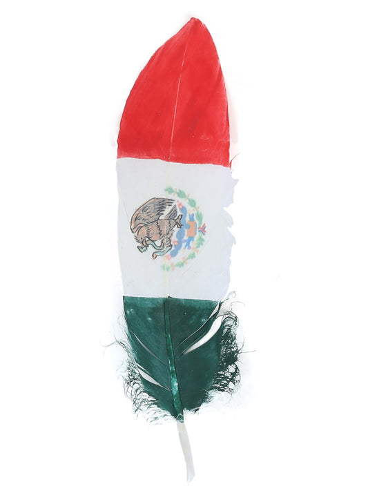 Real Bird Hand Painted Mexican Flag Hat Feather 'El General' - ID: 42037