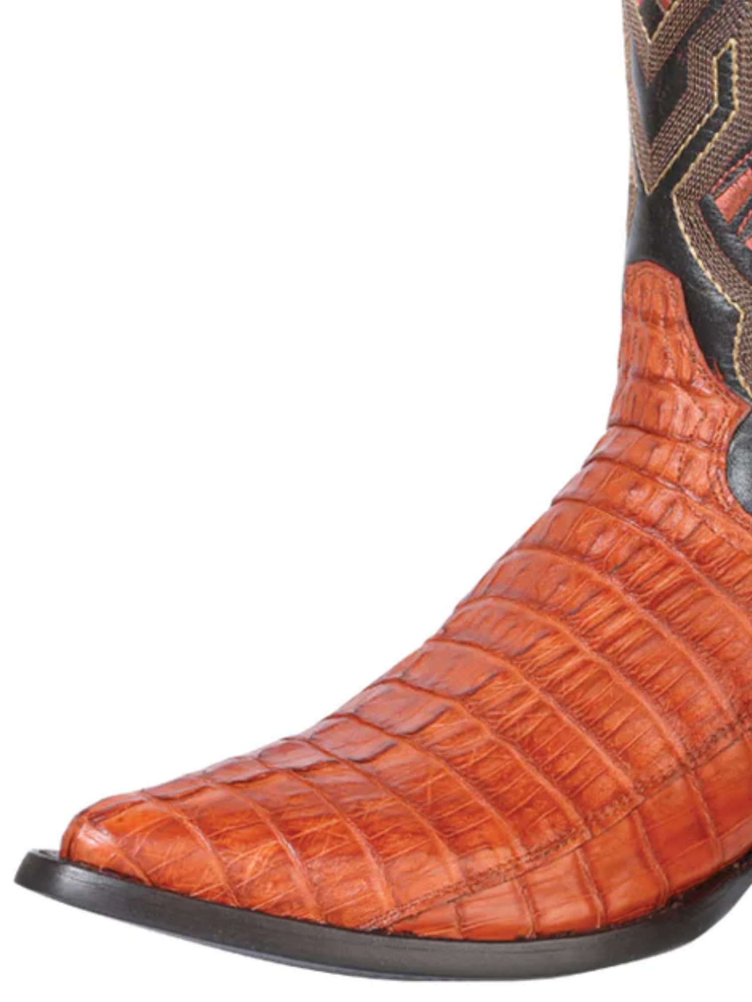 Caiman Cola Original Cowboy Boots Cowboy Boots Don Max